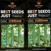 百思特649黄瓜种子杂交强雌密刺黄瓜种籽黑绿油亮果肉淡绿瓜把短