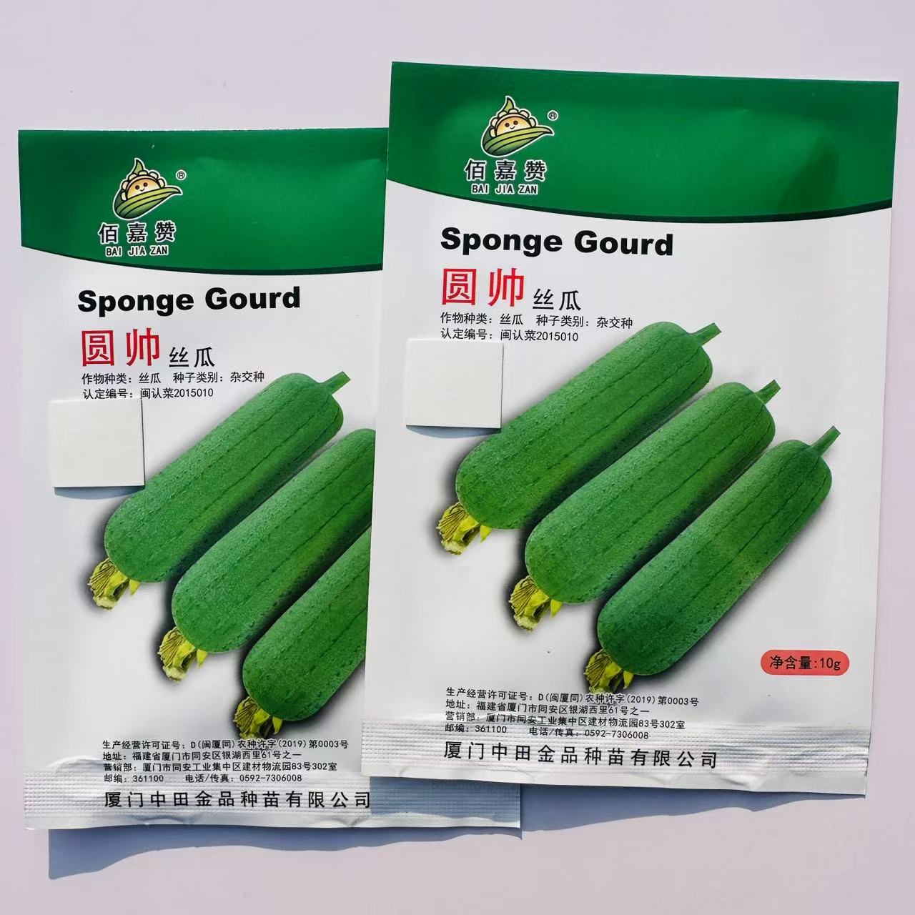 圆帅丝瓜种子高产肉丝瓜籽四季耐热农家爬藤蔬菜种子易种植抗病