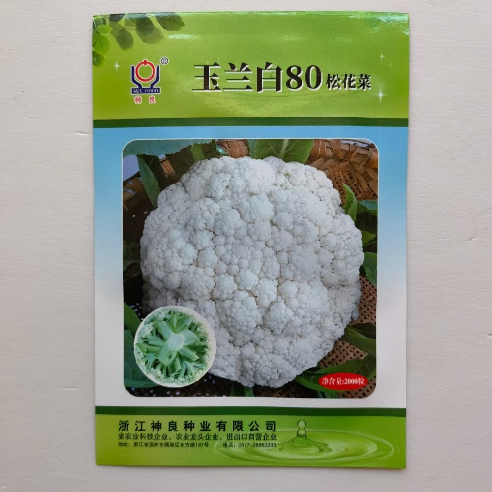 神良玉兰白80白松花菜种子中熟耐