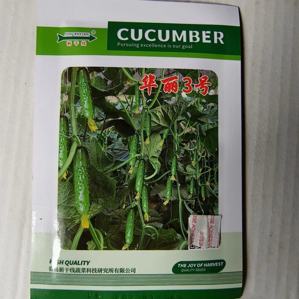 新干线华丽3号旱黄瓜种子强雌性