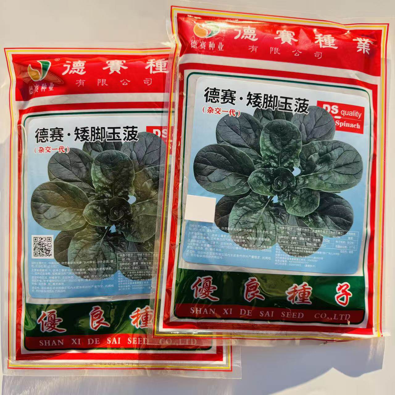 德赛矮脚玉菠杂交圆叶趴地菠菜种子叶片墨绿厚实春秋越冬栽培