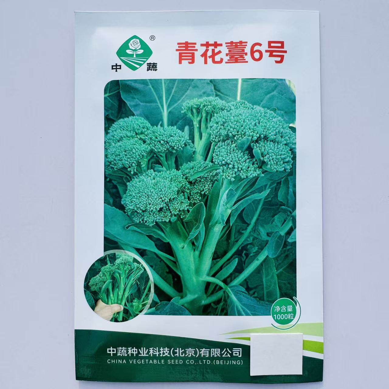 青花薹6号西兰苔种子春秋中晚熟青花菜苔种籽小花球栽后55天采收