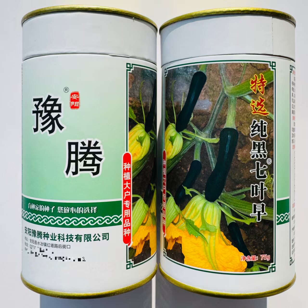 特选纯黑七叶早南瓜种籽早生南瓜种子早熟高产味甜微面黑皮南瓜籽