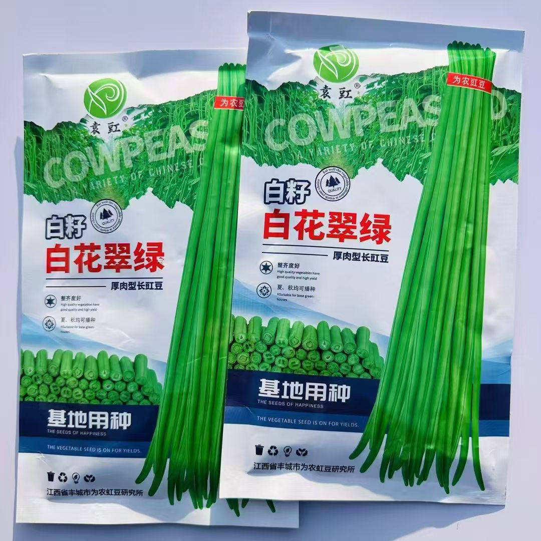 袁豇白籽白花翠绿豆角种子厚肉型长豇豆种子耐热春夏秋长豆角种籽