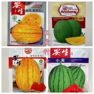 安生黄美人西瓜种子种籽 黄皮黄肉黄瓤质脆甜黄心春季南方水果孑