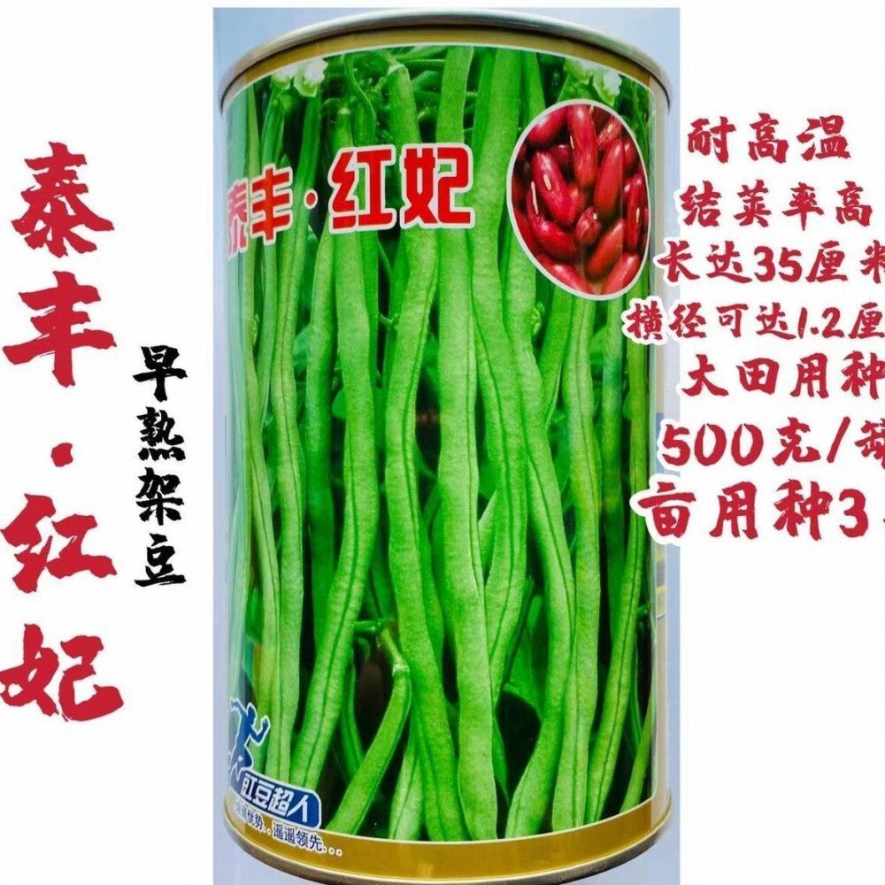 无筋架豆种子种籽泰丰红妃四季豆角芸豆扁豆种孑四季豆蔬菜