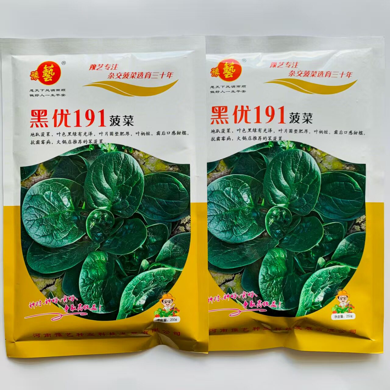 黑优191菠菜种子趴地耐热耐寒耐抽薹圆叶黑绿抗病春秋冬菠菜种子