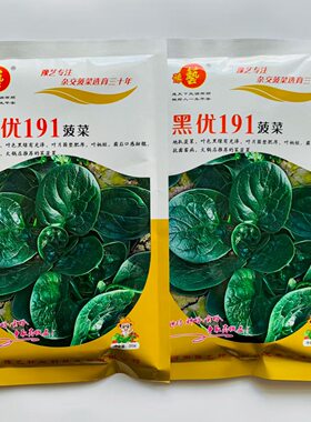 黑优191菠菜种子趴地耐热耐寒耐抽薹圆叶黑绿抗病春秋冬菠菜种子