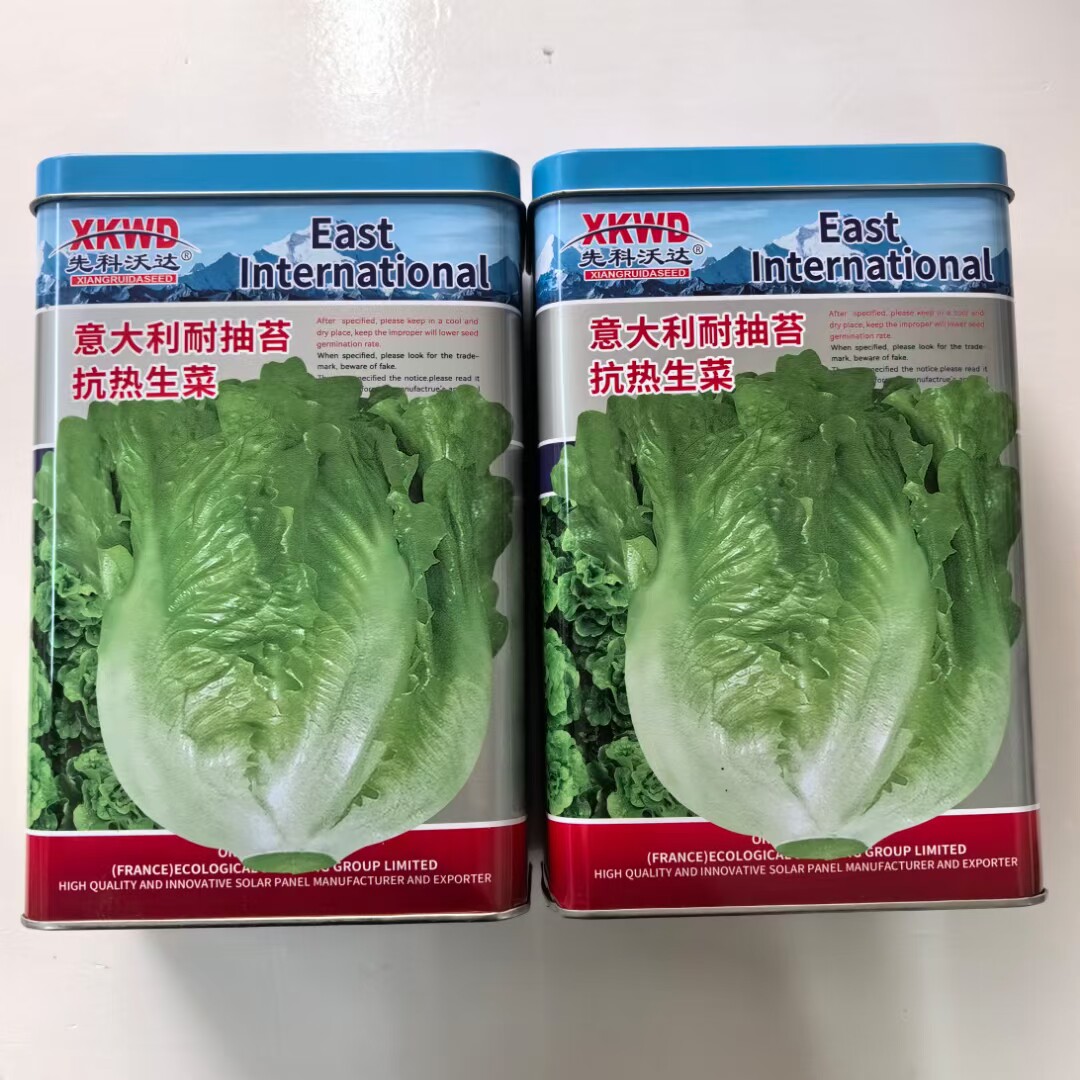 意大利耐抽苔生菜种子耐热耐寒全年奶油生菜种籽四季阳台蔬菜种孑