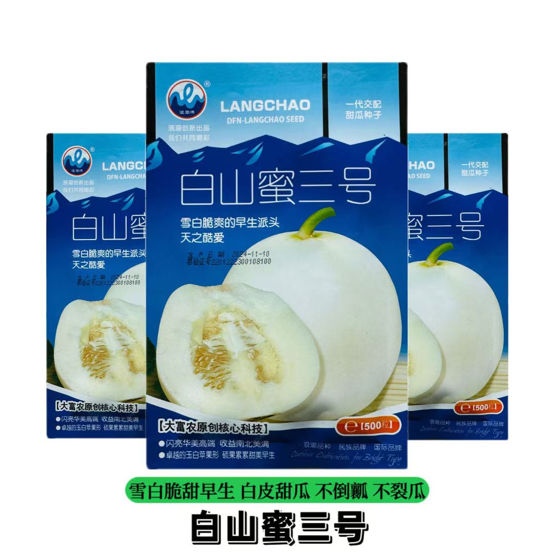 白山蜜三号甜瓜种子杂交白沙蜜甜瓜种籽耐裂高糖白皮白肉香瓜种子