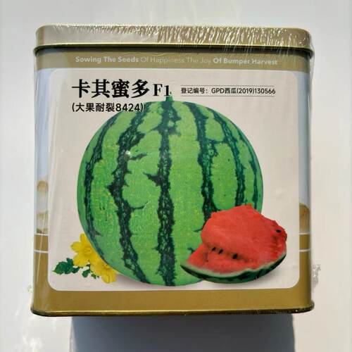 西瓜种子神禾卡其蜜多中早熟红瓤抗病皮薄甜脆耐重茬杂交西瓜种籽