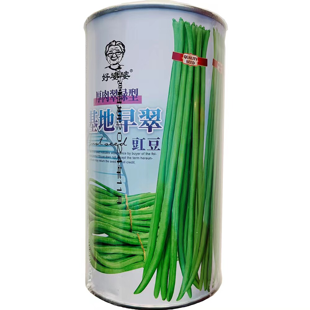 基地早翠长豇豆种子翠绿条长豆角种子春秋种植早熟豇豆种子一斤装