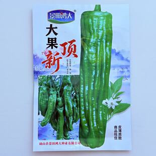 大果顶新辣椒早熟高产竖条齐头马嘴型味辣薄皮辣椒种子耐湿抗病