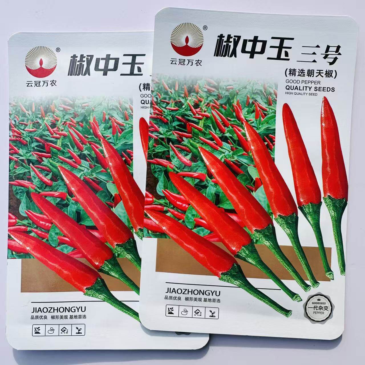 椒中玉三号朝天椒种子云南广西热销品种6-8厘米朝天椒指天椒种子