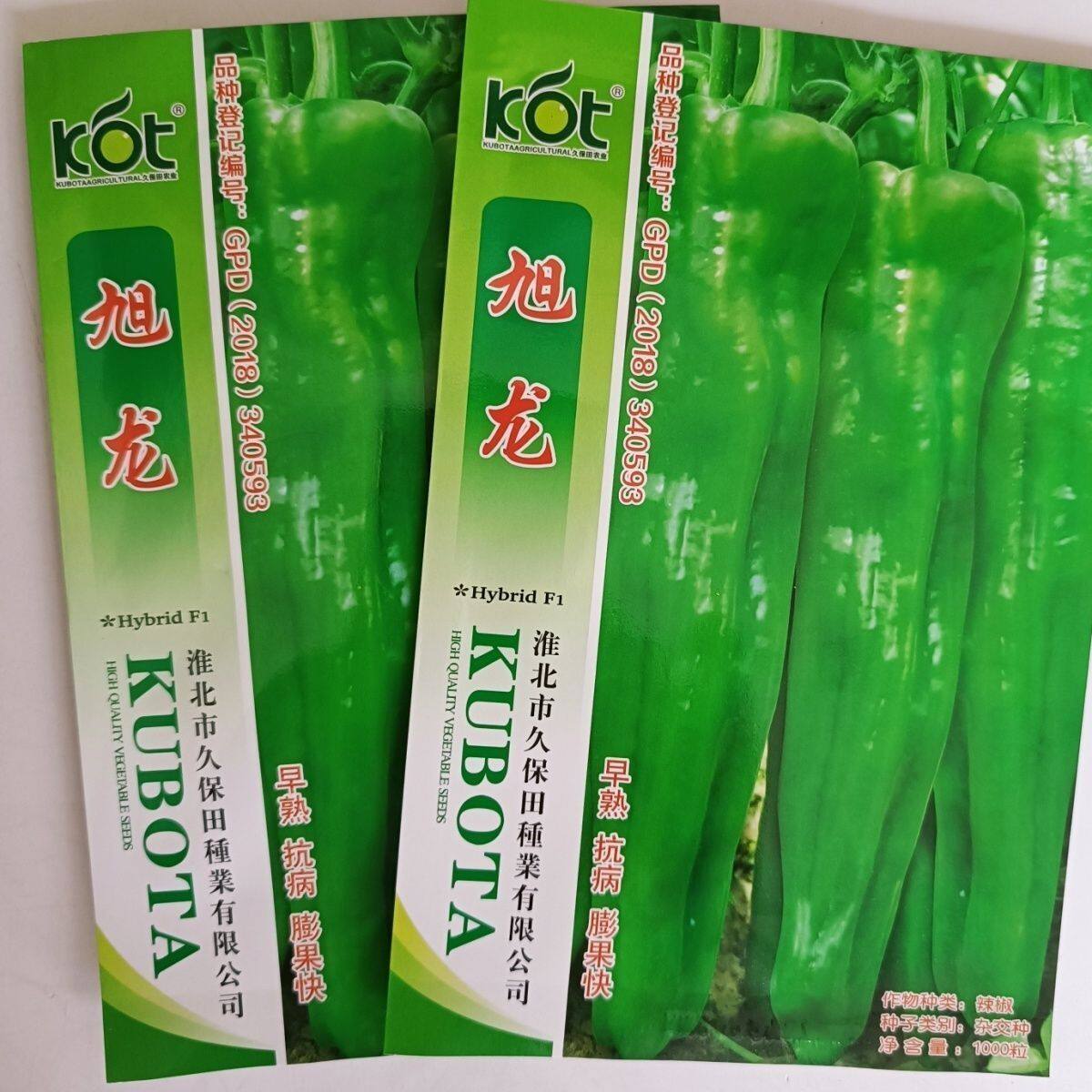 【正品保证】旭龙超大牛角型辣椒种子早熟微辣青果浅绿皮泡椒种子