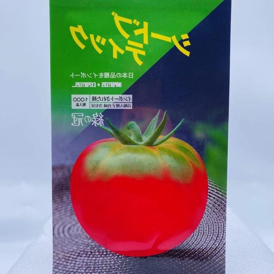 绿冠草莓番茄原装1000粒草莓西红柿种子高端品种生吃水果番茄种子
