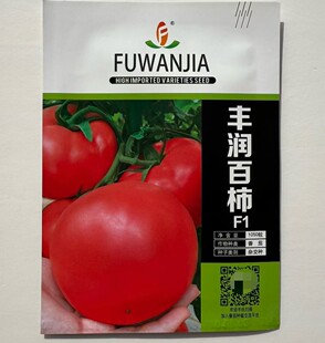 丰润百柿F1番茄种子无限生长型粉红大果西红柿种早熟抗病硬果正品