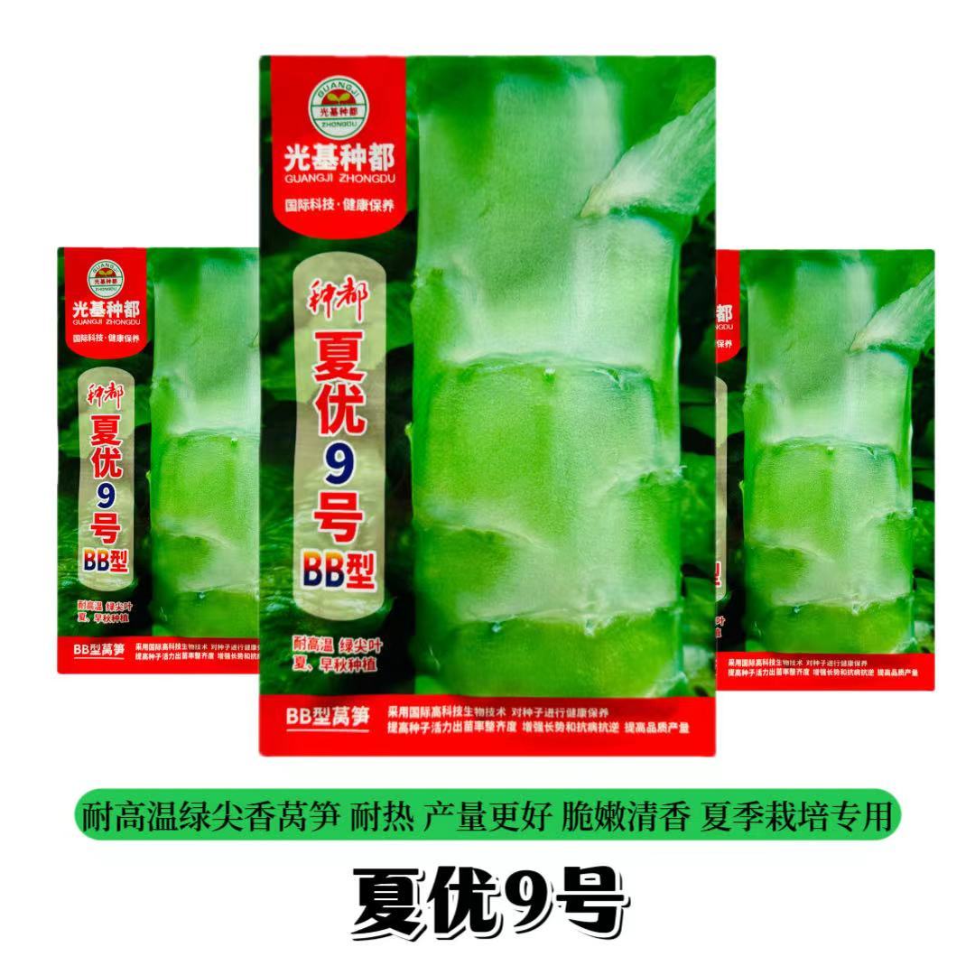种都夏优9号莴笋种子特耐热尖叶绿白皮香莴苣种籽夏秋季栽培专用