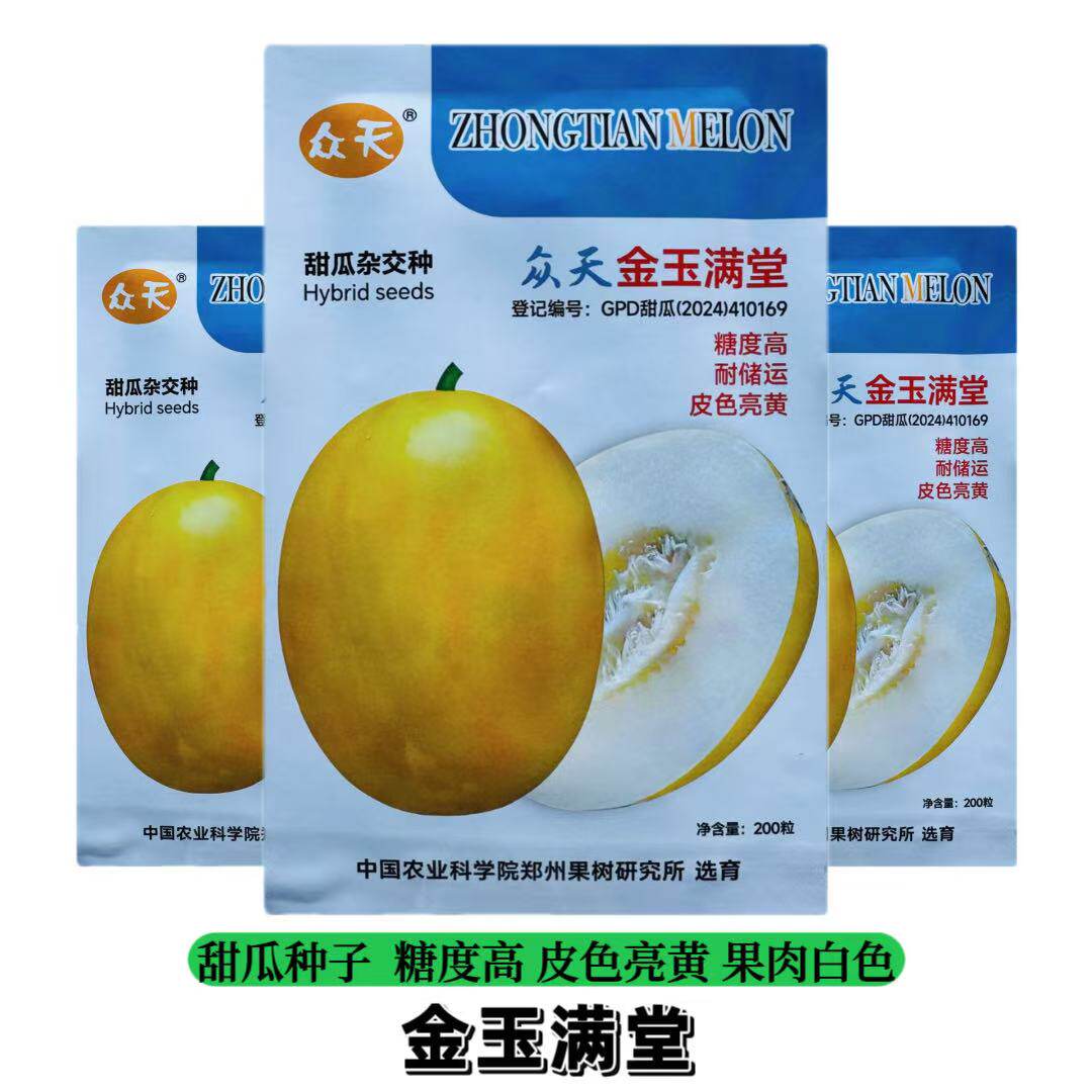 众天金玉满堂甜瓜种子薄皮梨瓜种籽高糖高产农家春秋播种黄皮香瓜
