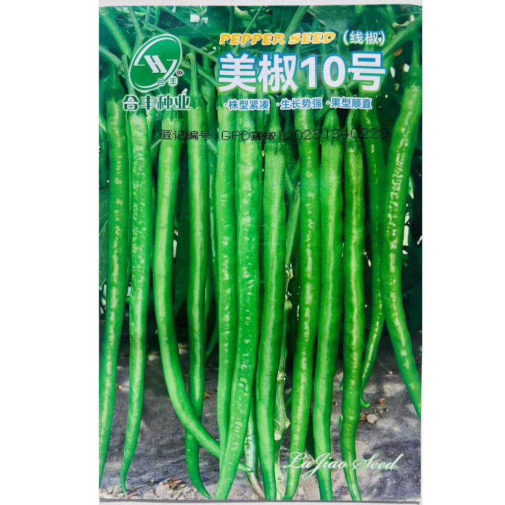 美椒10号线椒种子特长耐新鲜种籽四季辣椒顺直细羊角椒特辣孑