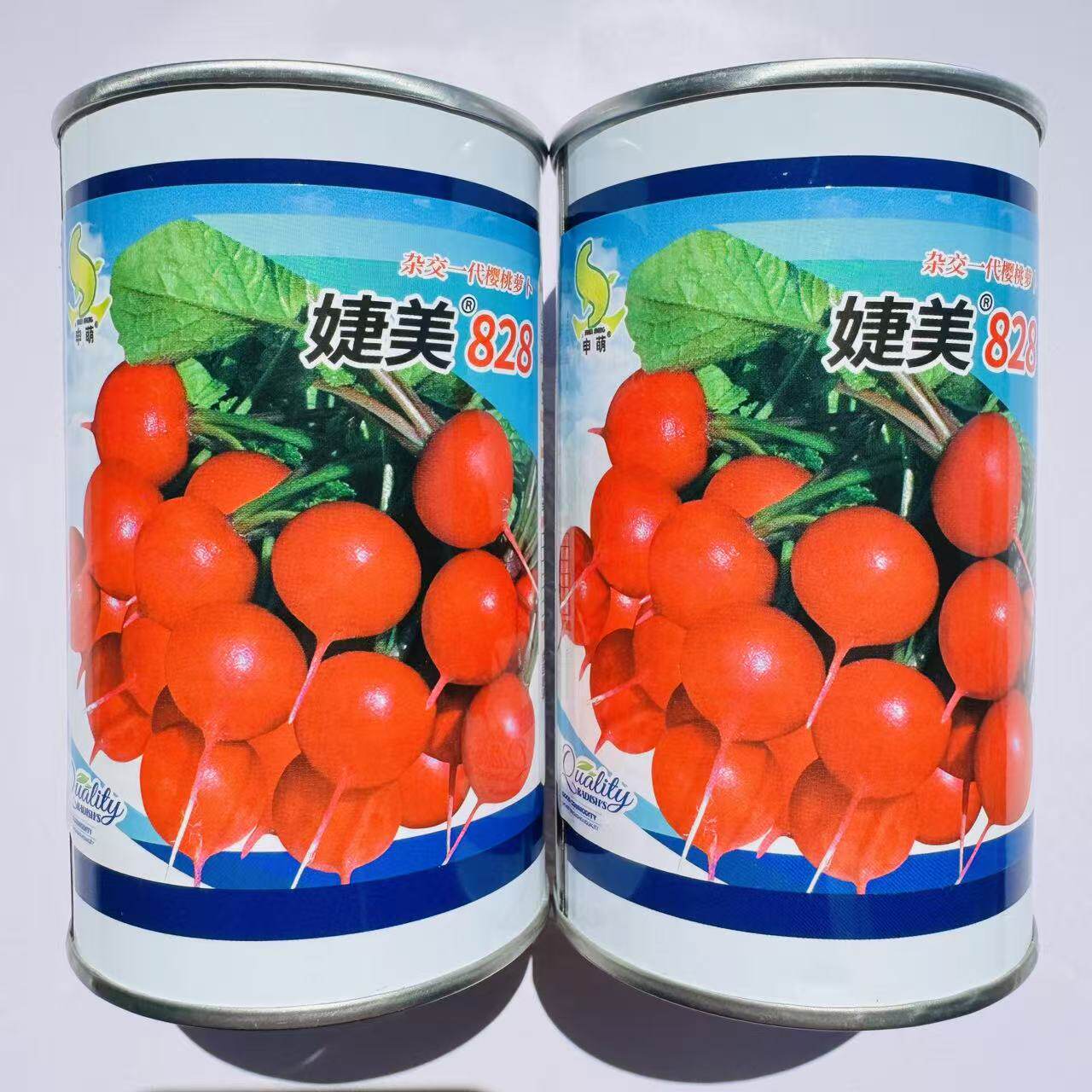 婕美828 樱桃萝卜种子早熟红皮白肉小萝卜种籽高海拔专用耐热萝卜