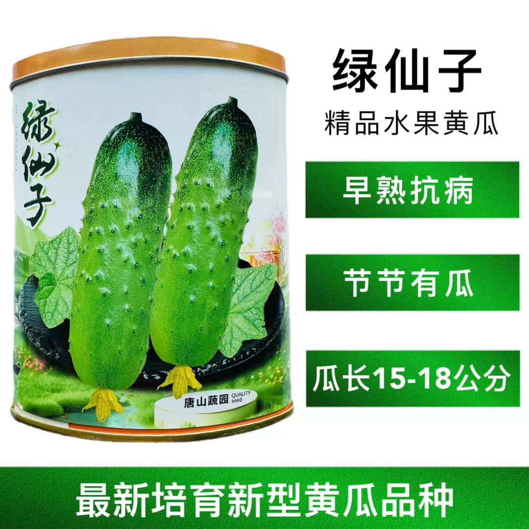 绿仙子黄瓜种子口感清脆水果黄瓜无苦味结瓜强抗病早熟浅绿色肉