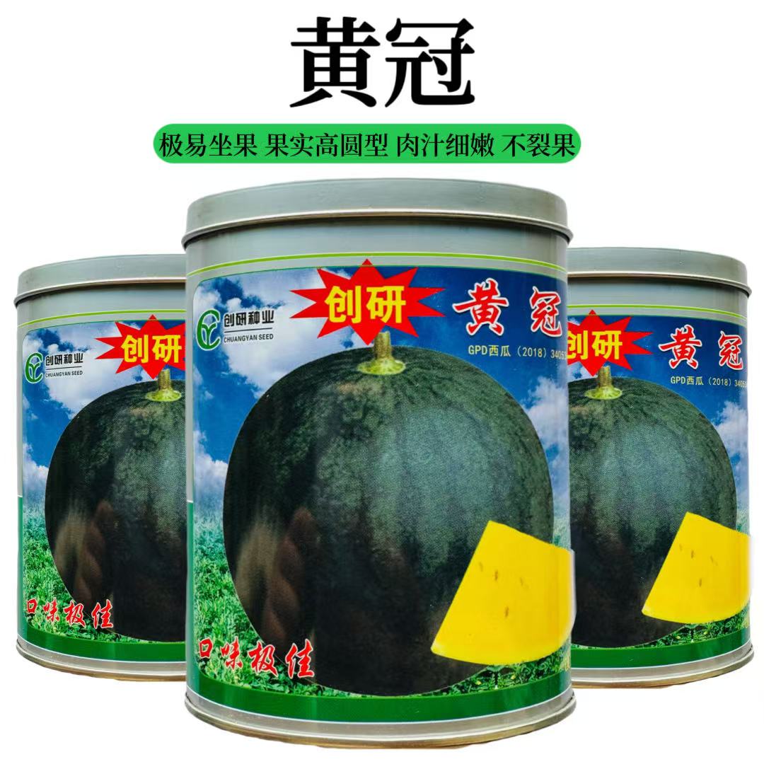 黄冠西瓜种子黑皮黄瓤西瓜种子超甜特大巨型西瓜籽四季懒汉西瓜孑