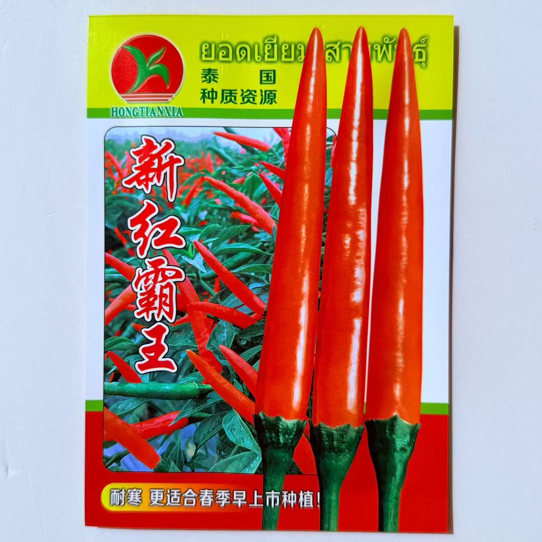 新红霸王泰国朝天椒种子超辣早熟抗病果型顺直耐低温青红两用辣椒