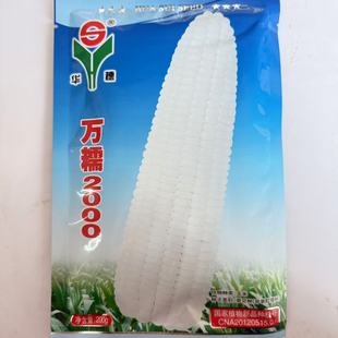 万糯2000糯玉米种子万糯2000玉米种子好吃大棒糯玉米种子万糯玉米