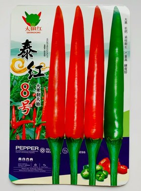 泰红8号朝天椒种子特辣单生大果型青红两用辣椒种子大果小米辣种
