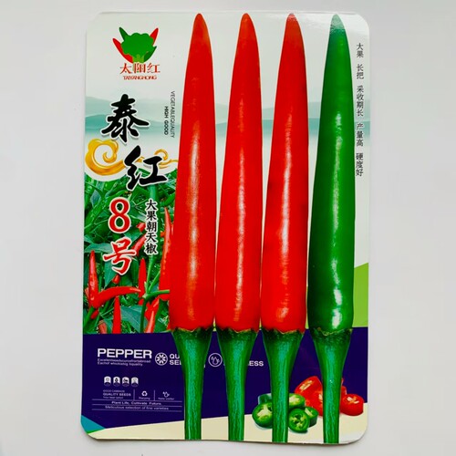 泰红8号朝天椒种子特辣单生大果型青红两用辣椒种子大果小米辣种