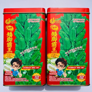 矮脚霸王鞭芝麻种子原种低腿黄杆黄蒴白芝麻种子高产抗病芝麻种籽