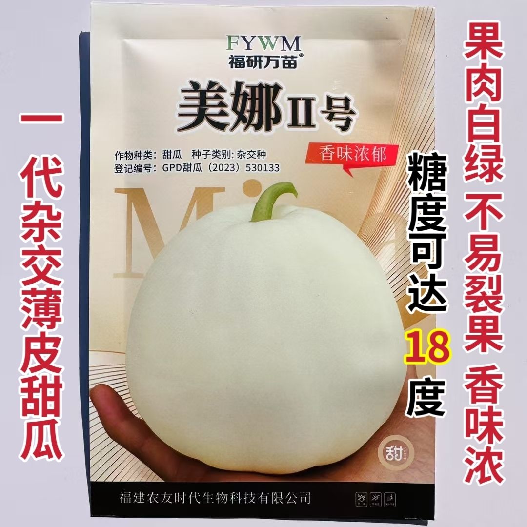 美娜2号甜瓜种子薄皮白色甜瓜种籽果肉白绿不易裂果超甜甜瓜种子