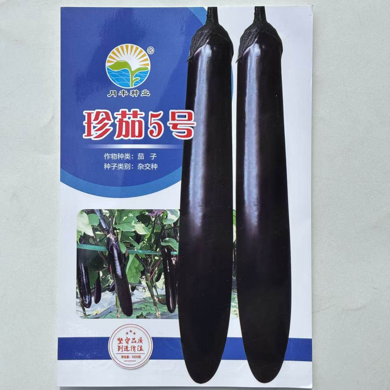 珍茄5号1000粒茄子蔬菜种子孑籽黑长茄油亮春夏秋杂交高产紫茄子