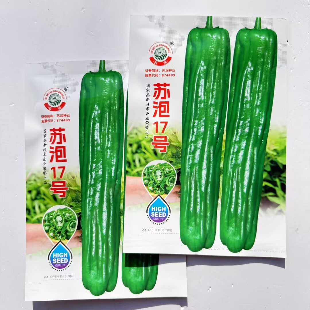 苏泡17号大果薄皮椒种子早熟浅绿皮邹有光泽质脆可口不早衰春秋播