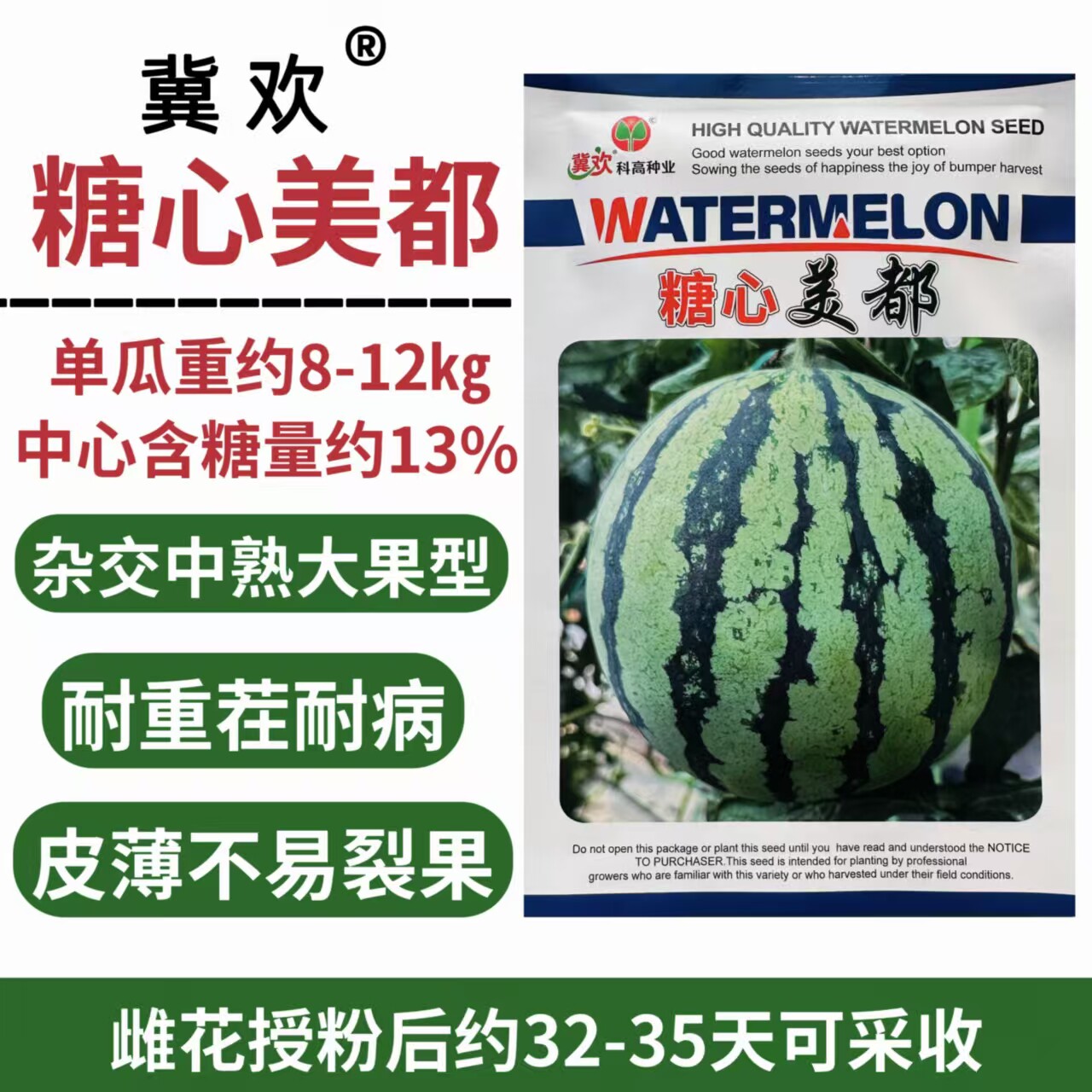 糖心美都大果麒麟西瓜种子中熟高圆型皮薄肉质酥脆耐重茬抗病耐裂