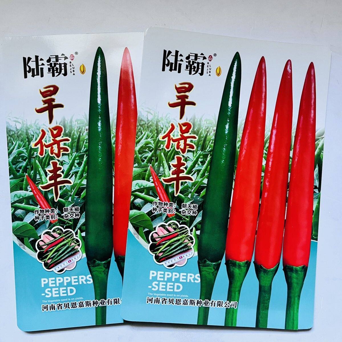 陆霸旱保丰朝天椒种子大果早熟滑皮椒种青红两用尾果大硬度好高产