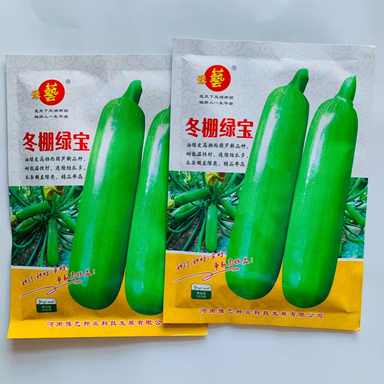 豫艺冬棚绿宝西葫芦种子早熟高产抗病耐低温温室越冬早春大棚专用