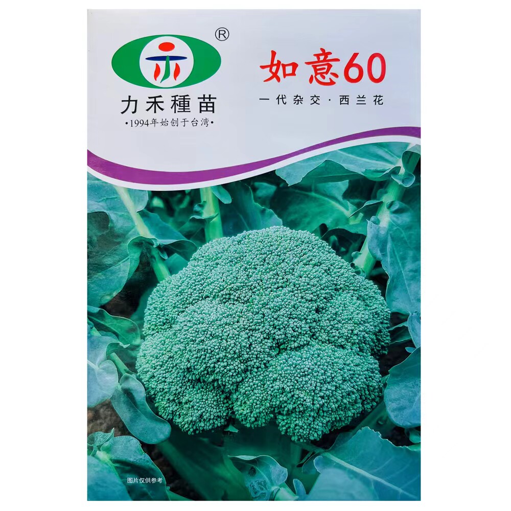 西兰花种子花菜种籽青梗松散型花椰菜四季阳台盆栽农家易种植蔬菜
