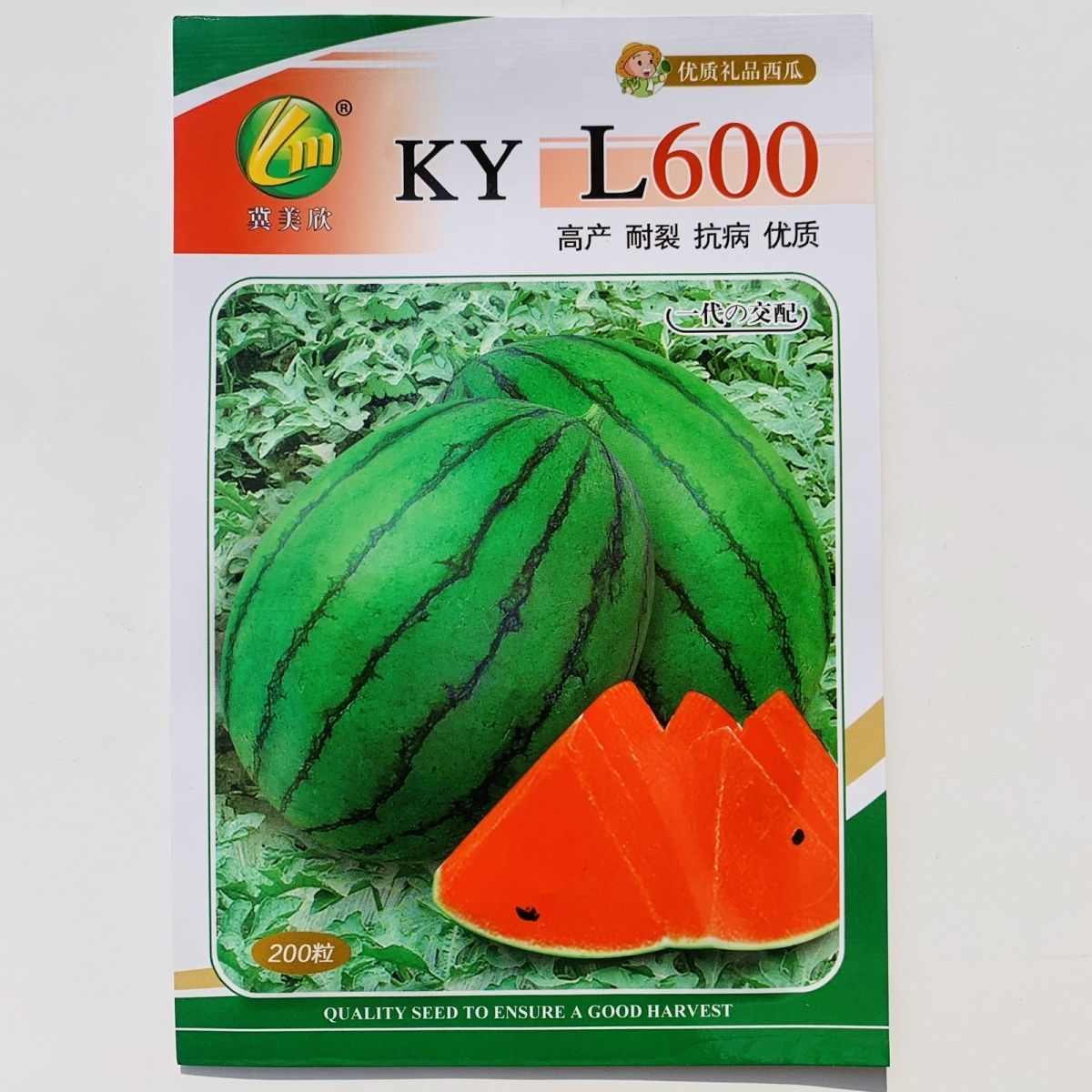 L600高档礼品西瓜种子超甜早熟小型西瓜种籽耐裂小果西瓜种孑红瓤