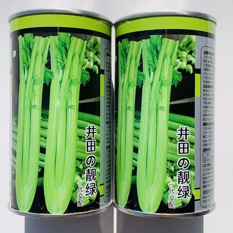 璐通井田靓绿芹菜种子四季蔬菜种子早熟产量高纤维少实心芹菜种籽