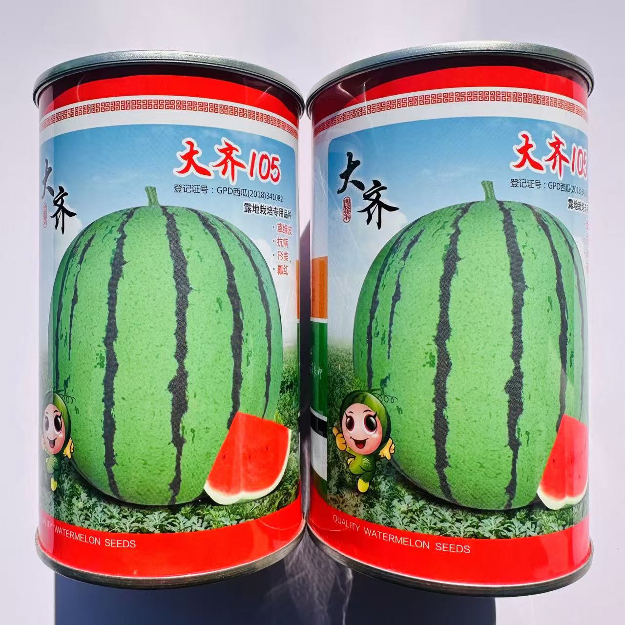 露地专用西瓜种子 大齐105大果西瓜品种皮薄抗裂花皮红瓤西瓜种籽