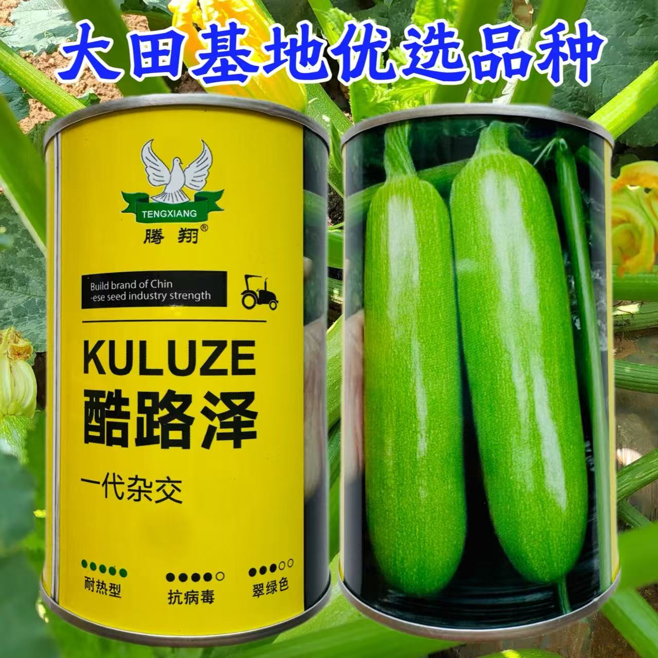 酷路泽西葫芦种子籽早春早熟高产抗寒抗病毒葫芦瓜绿皮油亮耐热