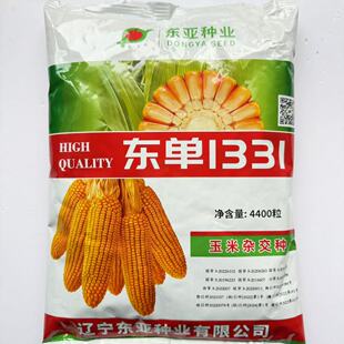 【正品保证】东单1331玉米种子苞谷4200粒抗倒伏高温双棒多抗旱涝