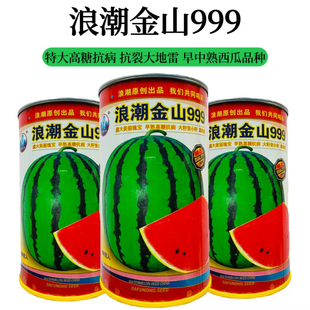 浪潮金山999西瓜种子,果实圆形浓绿花皮瓤色大红艳丽不易空心