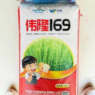 隆平高科【伟隆169】小麦种子国审小麦种抗倒高产稳产强筋麦种子