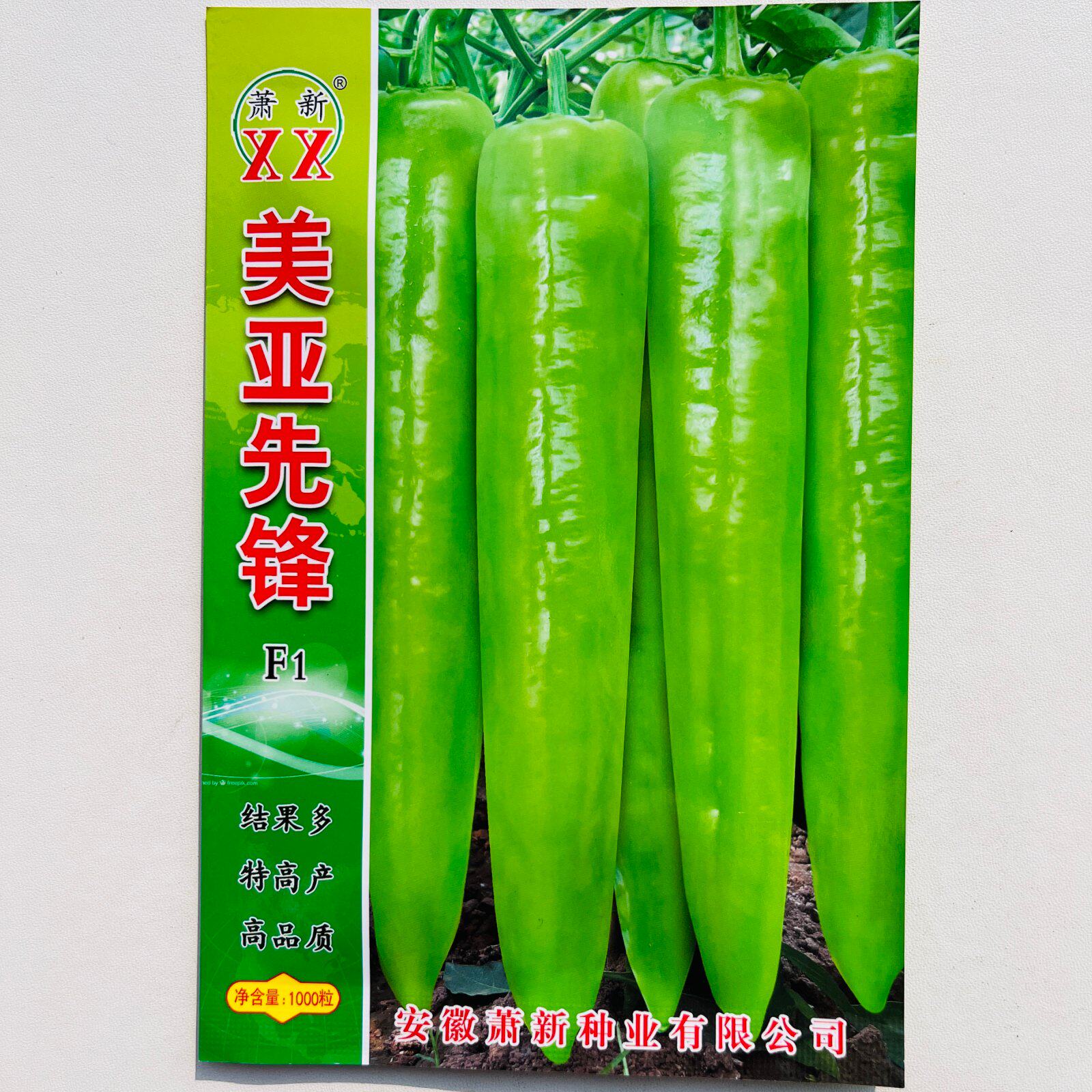 大果黄皮尖椒种子耐热厚皮厚肉微辣菜椒牛角辣椒种籽农家蔬菜种孑