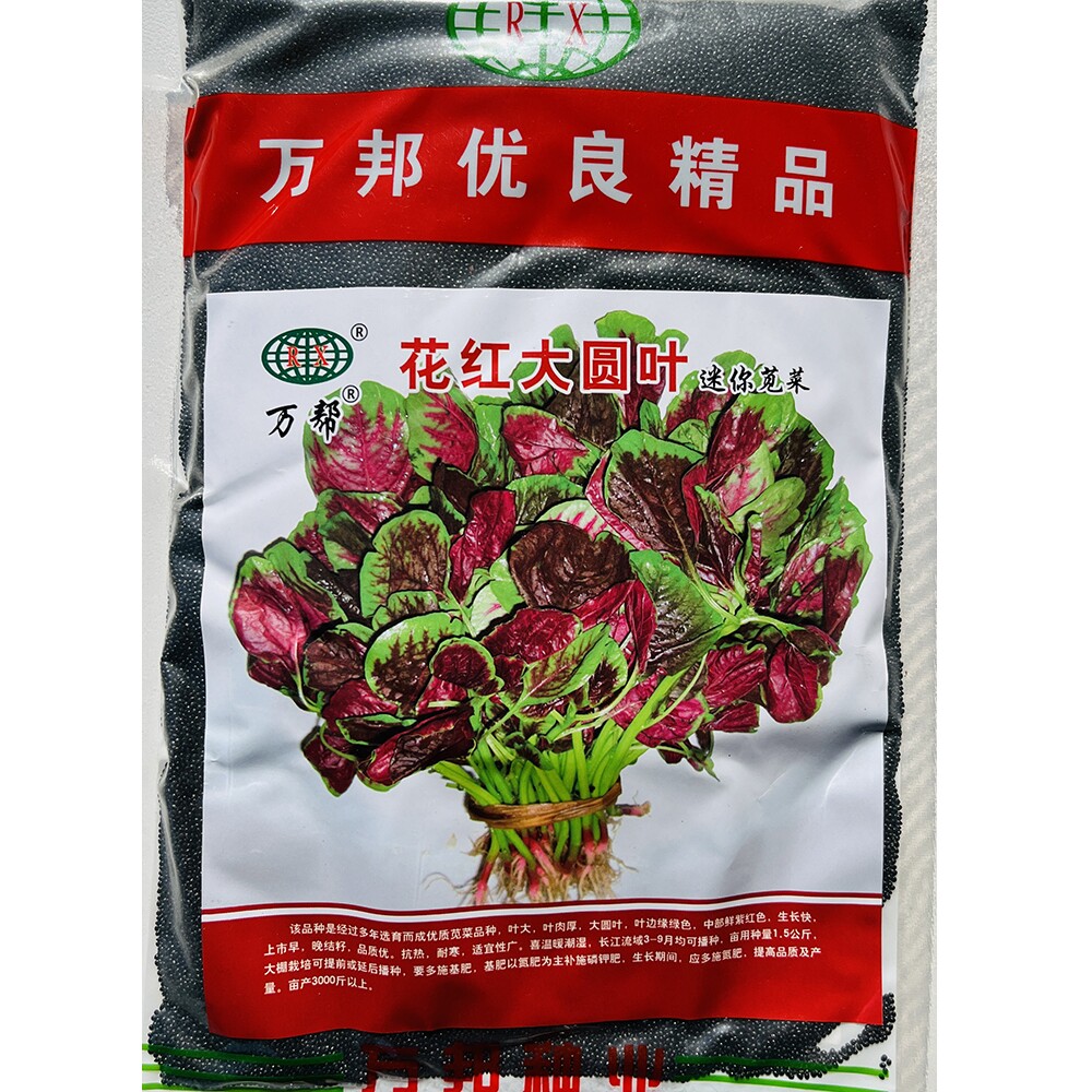 花红大圆叶红苋菜种子,早熟叶圆阔大尾稍尖叶面紫红色根红色500克