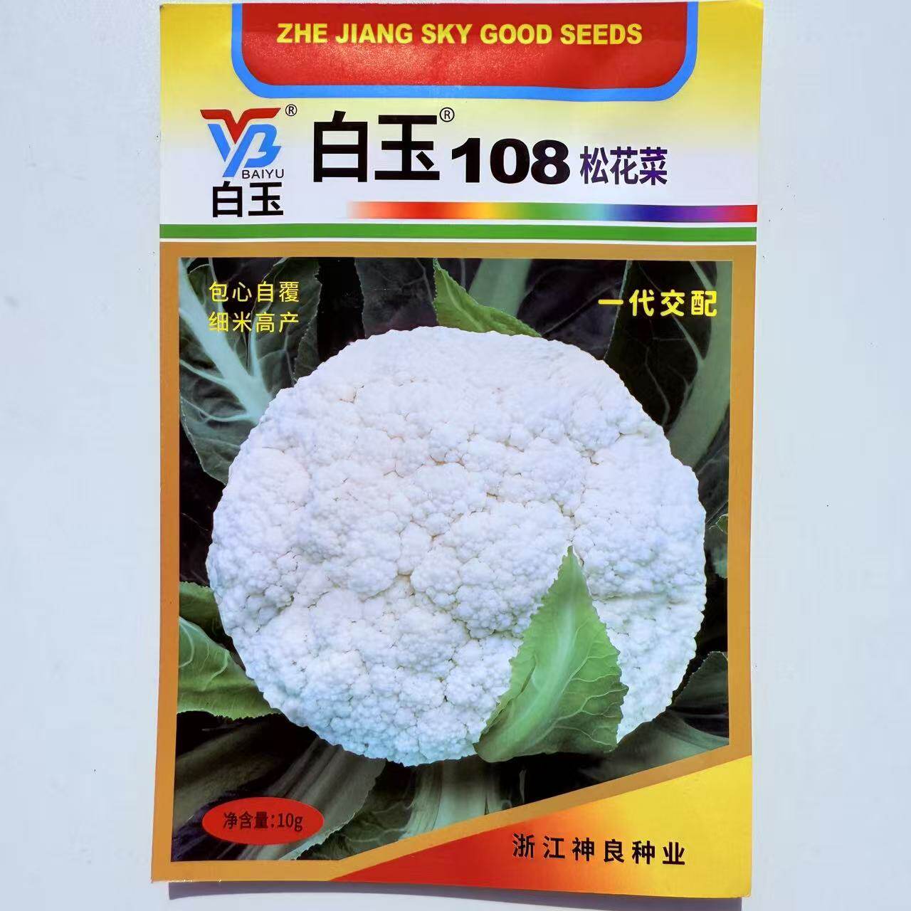 白玉108花菜种子新鲜晚熟耐寒菜花青梗松花菜半直立越冬108天花菜