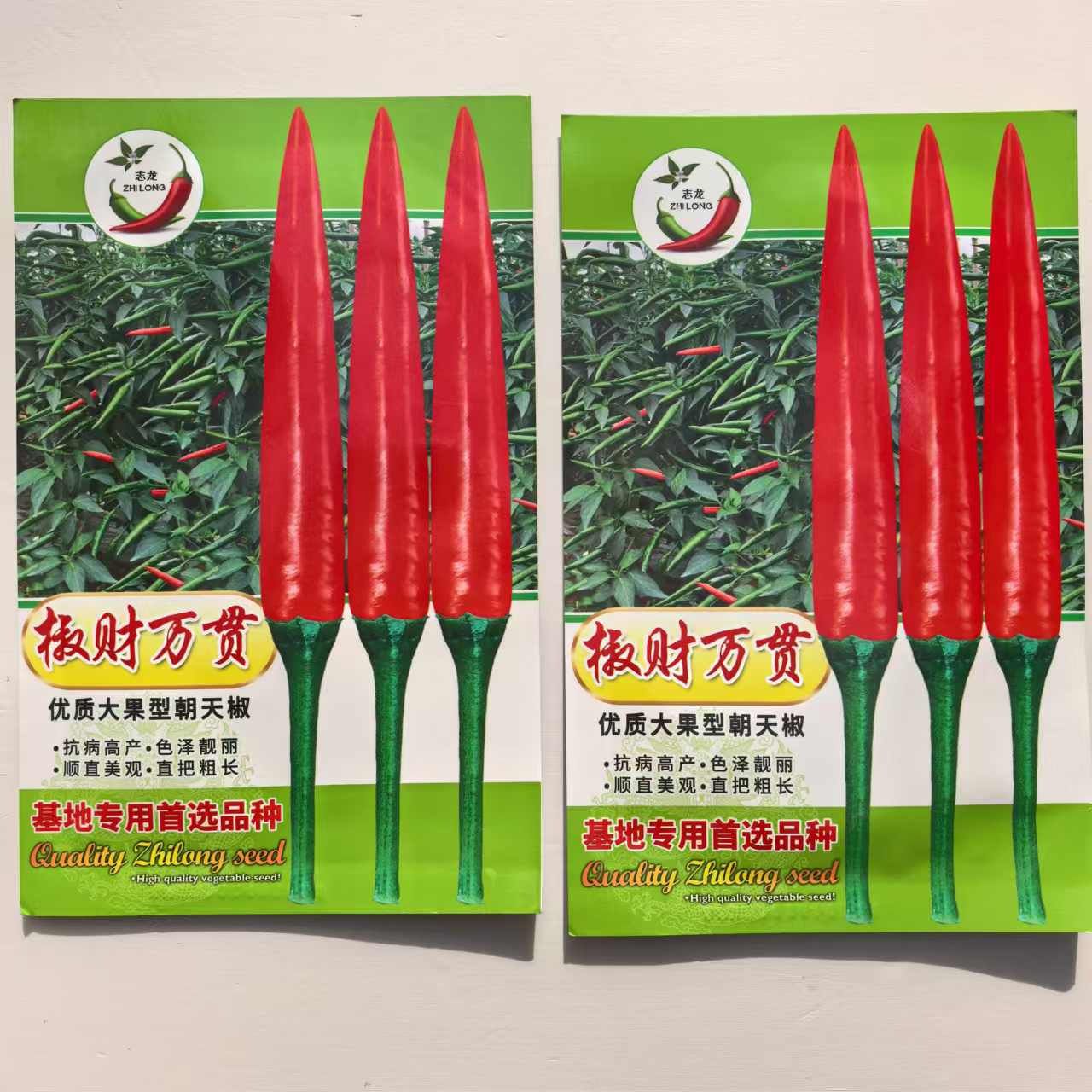 椒财万贯朝天椒种子泰国进口大果型朝天椒种子中晚熟鲜红抗寒耐热